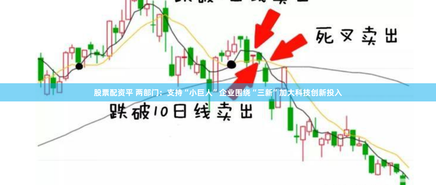 股票配资平 两部门：支持“小巨人”企业围绕“三新”加大科技创新投入